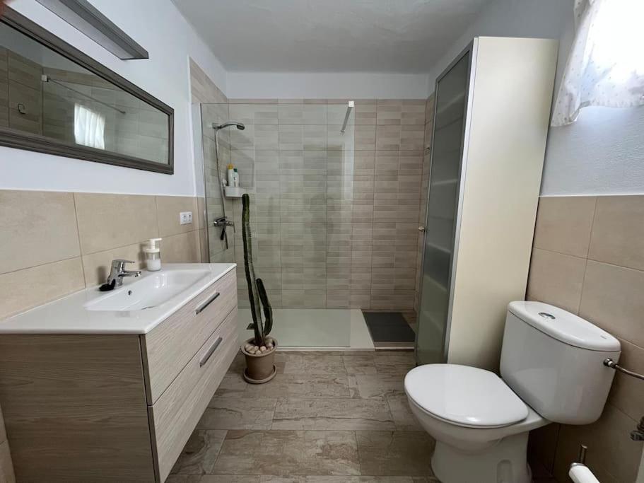 Loft En Zona Rural De Lanzarote Apartment Conil Екстериор снимка
